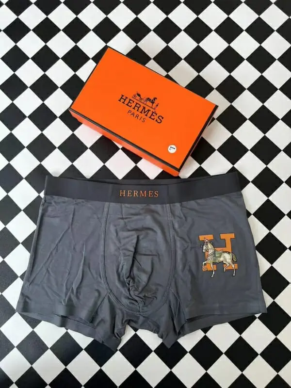 hermes sous vetementss pour homme s_11ba1724